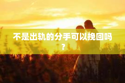 不是出轨的分手可以挽回吗？