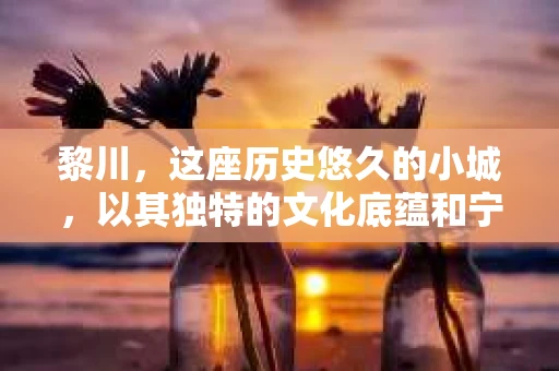 黎川，这座历史悠久的小城，以其独特的文化底蕴和宁静的生活节奏吸引着无数游客。然而，在这样一个看似平静的城市里，你是否会好奇，有没有私家侦探机构的存在呢？今天，就让我带你一探究竟。