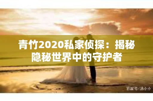 青竹2020私家侦探：揭秘隐秘世界中的守护者