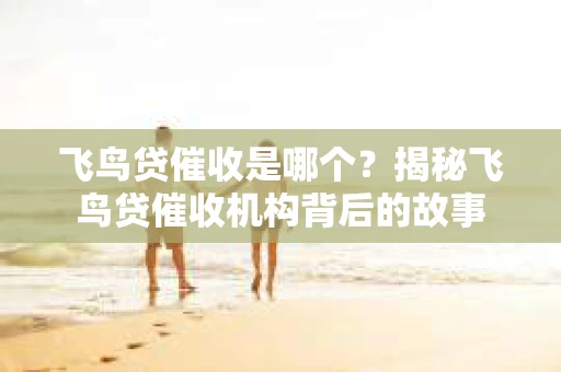 飞鸟贷催收是哪个？揭秘飞鸟贷催收机构背后的故事