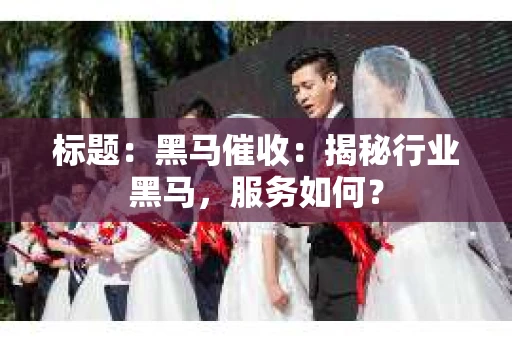 标题：黑马催收：揭秘行业黑马，服务如何？
