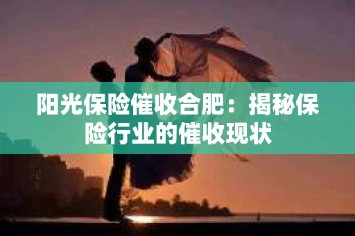 阳光保险催收合肥：揭秘保险行业的催收现状