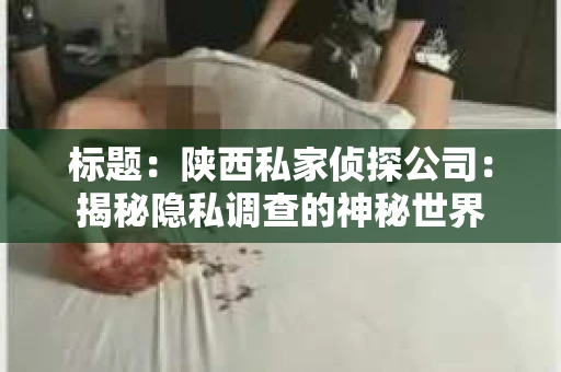 标题：陕西私家侦探公司：揭秘隐私调查的神秘世界
