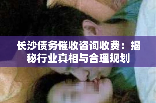 长沙债务催收咨询收费:揭秘行业真相与合理规划 长沙债务催收咨询收费:揭秘行业真相与合理规划