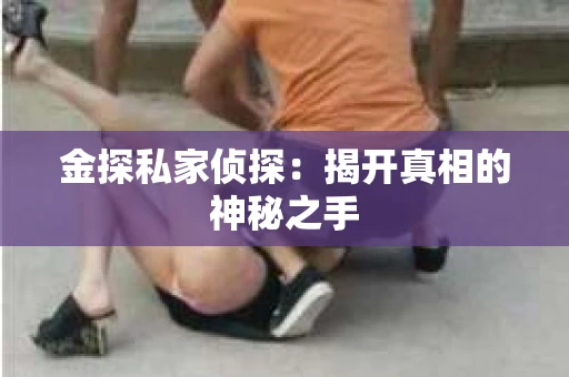 金探私家侦探：揭开真相的神秘之手