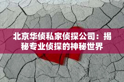 北京华侦私家侦探公司：揭秘专业侦探的神秘世界