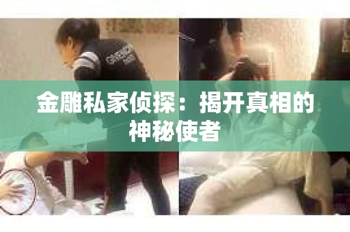 金雕私家侦探：揭开真相的神秘使者