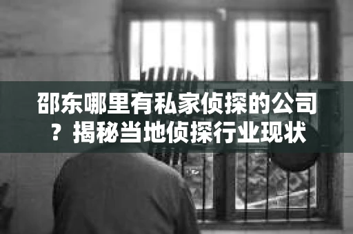 邵东哪里有私家侦探的公司？揭秘当地侦探行业现状