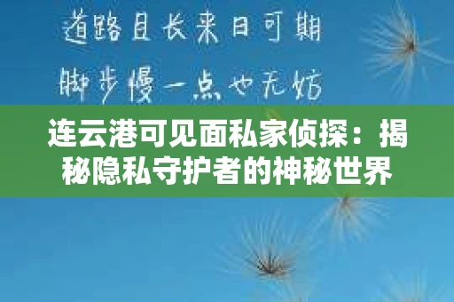 连云港可见面私家侦探：揭秘隐私守护者的神秘世界
