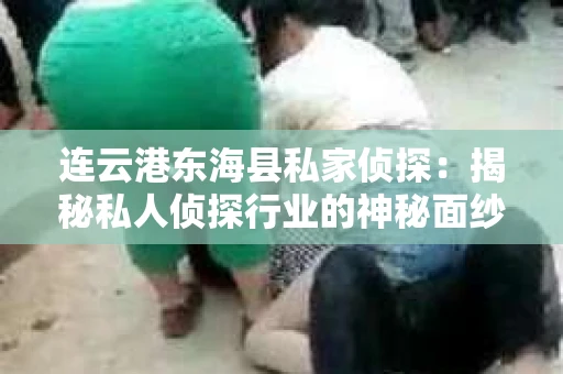 连云港东海县私家侦探：揭秘私人侦探行业的神秘面纱