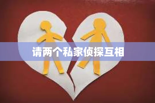 请两个私家侦探互相