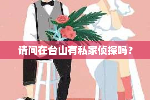 请问在台山有私家侦探吗？