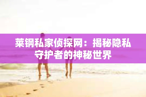 莱钢私家侦探网:揭秘隐私守护者的神秘世界 莱钢私家侦探网:揭秘隐私守护者的神秘世界