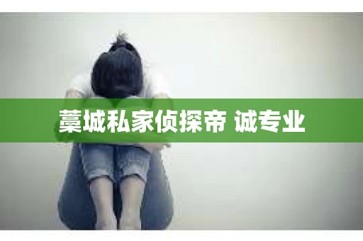 藁城私家侦探帝 诚专业