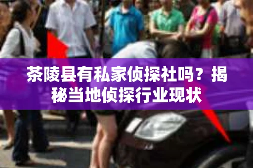 茶陵县有私家侦探社吗？揭秘当地侦探行业现状