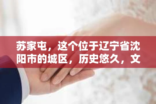 苏家屯，这个位于辽宁省沈阳市的城区，历史悠久，文化底蕴深厚。近年来，随着社会的发展，人们对于私家侦探的需求也逐渐增加。那么，苏家屯有私家侦探吗？今天，我们就来聊聊这个话题。