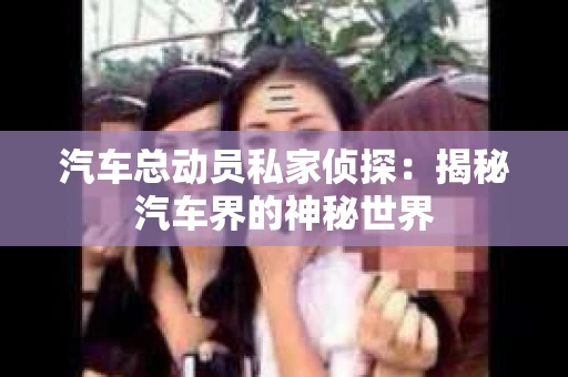 汽车总动员私家侦探：揭秘汽车界的神秘世界