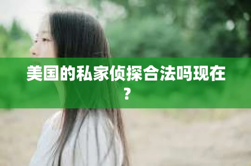 美国的私家侦探合法吗现在？