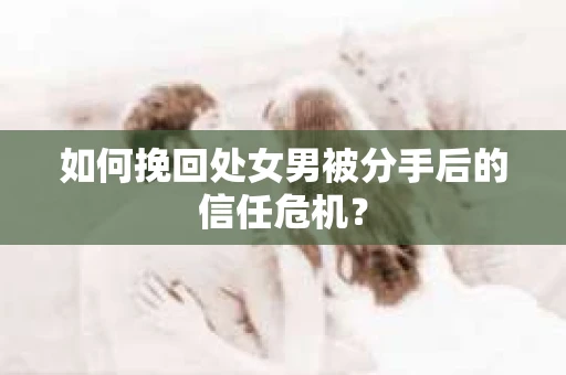 如何挽回处女男被分手后的信任危机? 如何挽回处女男被分手后的信任危机?