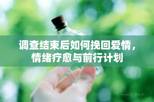 调查结束后如何挽回爱情，情绪疗愈与前行计划