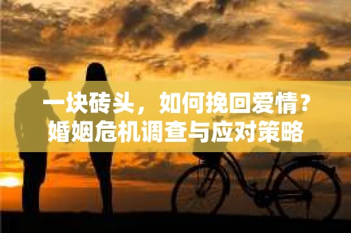 一块砖头,如何挽回爱情?婚姻危机调查与应对策略 一块砖头,如何挽回爱情?婚姻危机调查与应对策略