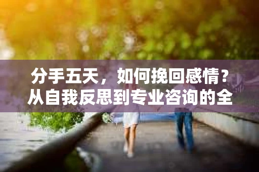 分手五天，如何挽回感情？从自我反思到专业咨询的全面解决方案