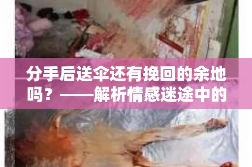 分手后送伞还有挽回的余地吗？——解析情感迷途中的决策