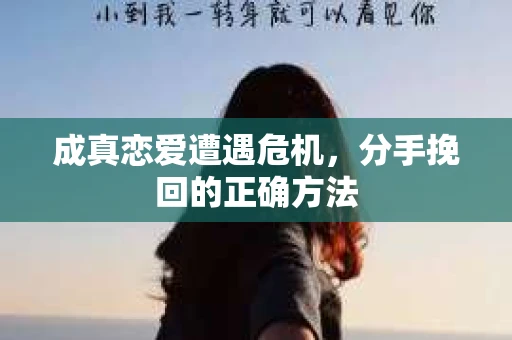 成真恋爱遭遇危机，分手挽回的正确方法